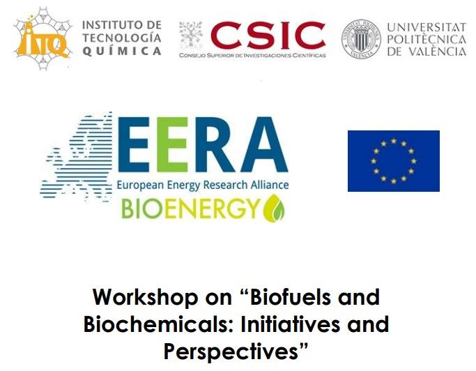 Biofuels and Biochemicals workshop in Valencia