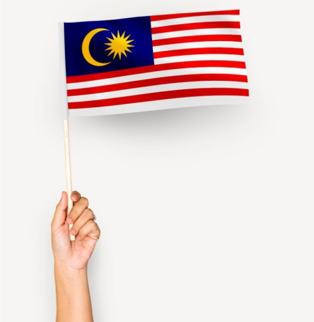 person-waving-flag-malaysia_53876-13702 (edited 27.3.24 14:55:24)